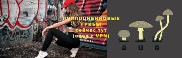 мдма Дмитриев