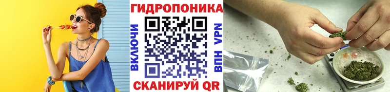 Купить где  Ртищево  Бошки марихуана SATIVA & INDICA 